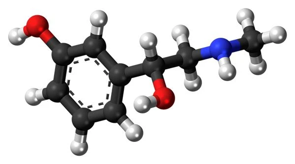 De farmakologiske virkninger og bivirkninger af synephrine