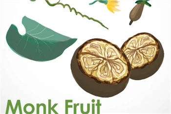 Monk Fruit Mogroside: Ikke kun sødemiddel